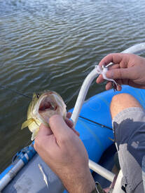 Steady now....remember to slow it down