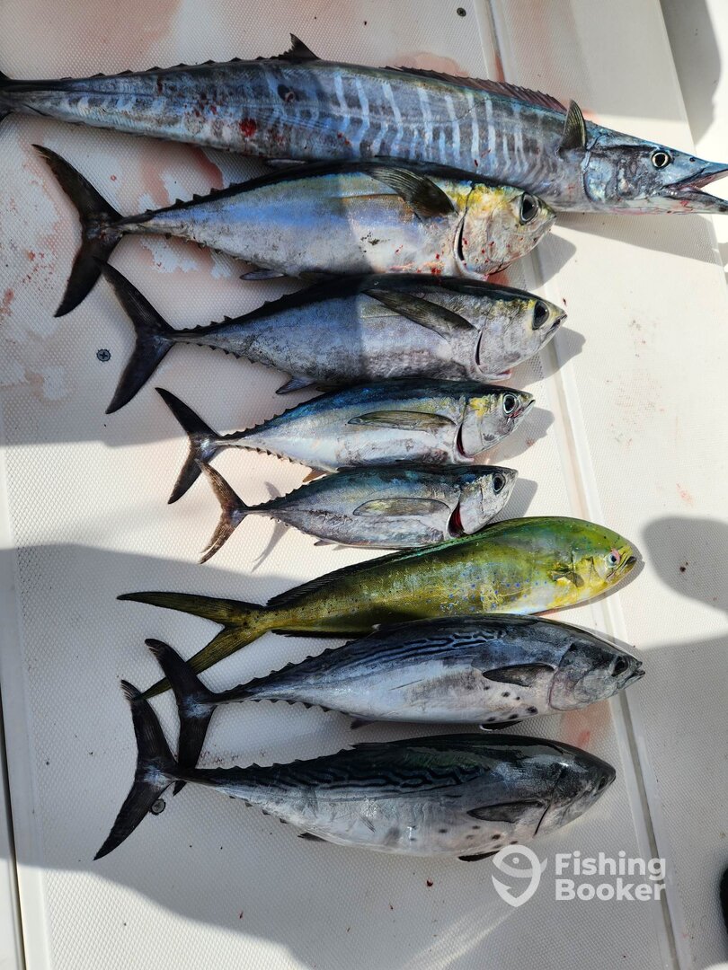 Pompano Beach Report Photo 0