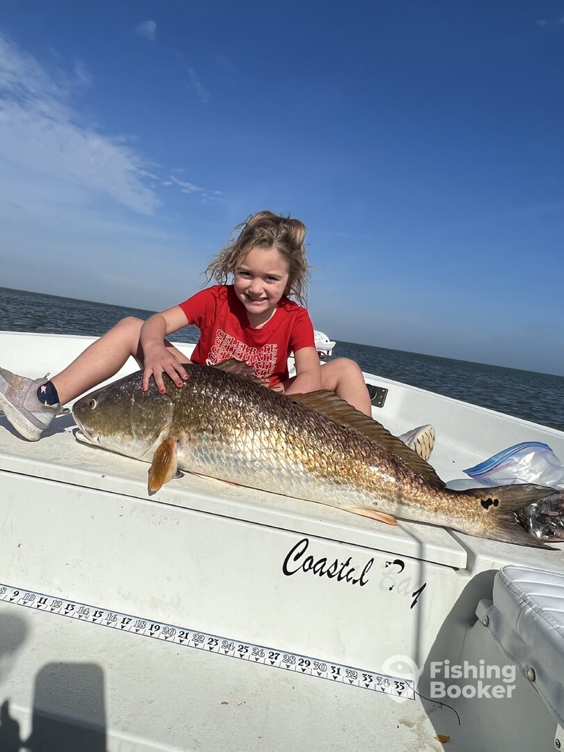 Venice Report Photo 0