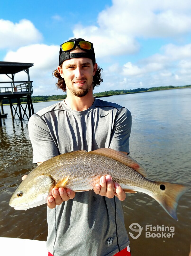 Charleston Report Photo 0