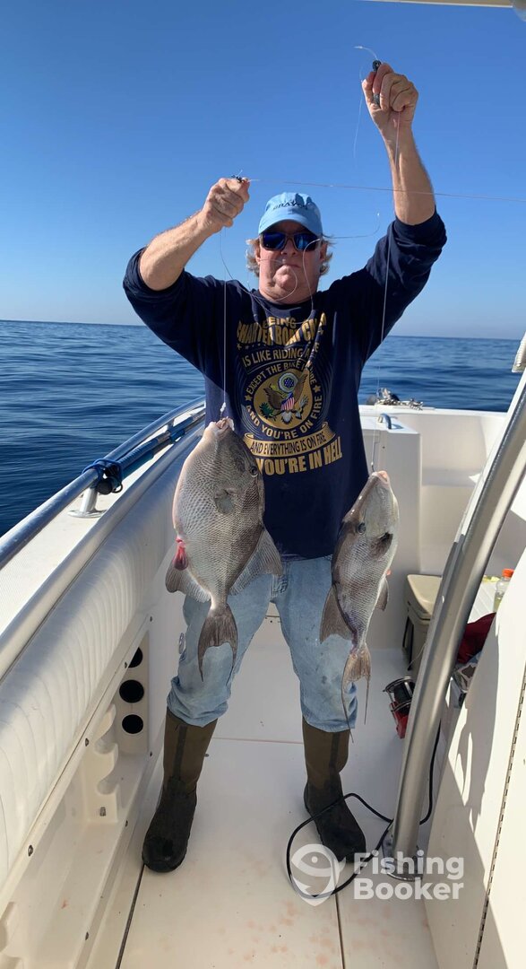 Fernandina Beach Report Photo 0