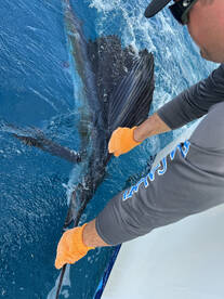 West Palm Beach Report Photo 1