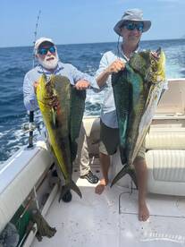 Mahi and Sailfish trip