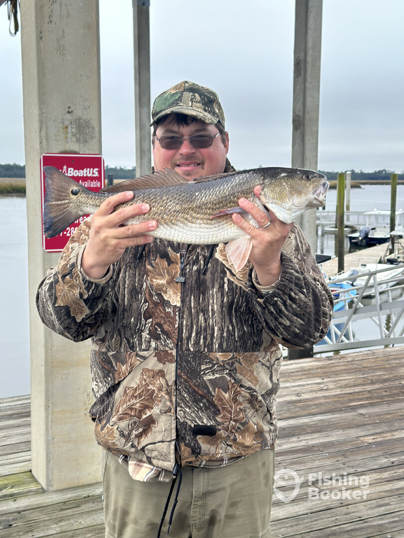 Darien Report Photo 0