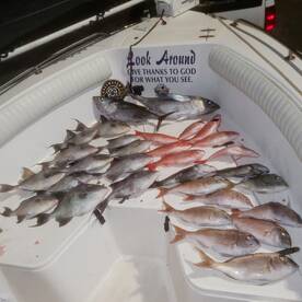 North Myrtle Beach Report Photo 1