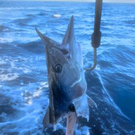 North Myrtle Beach Report Photo 2