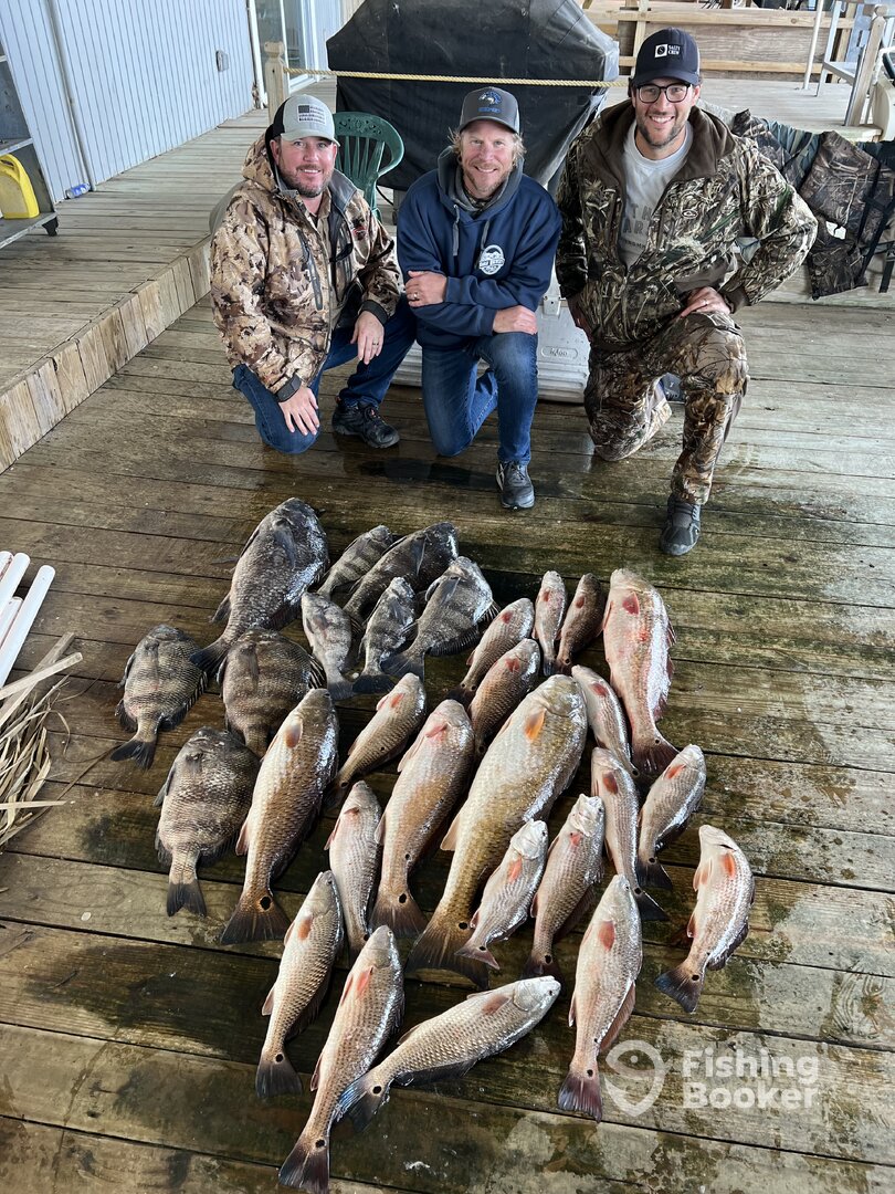 Venice Report Photo 0