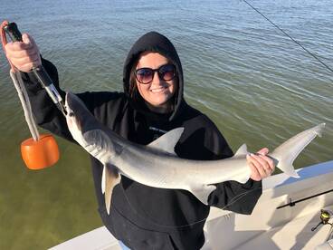 Tampa Report Photo 1