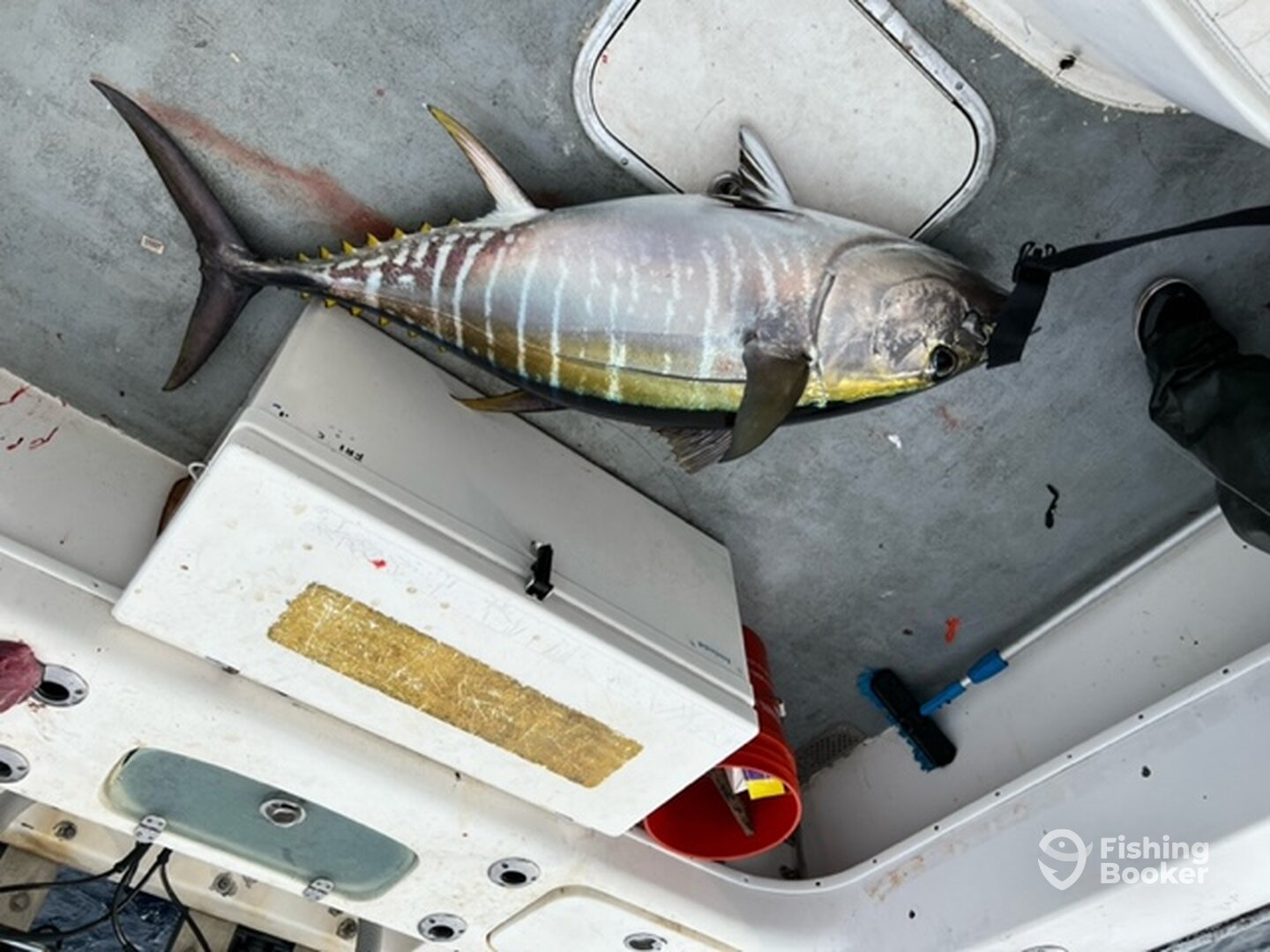 Venice Report Photo 0