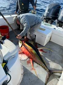 Venice Report Photo 2