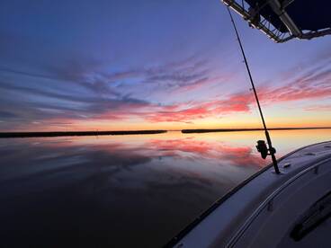 Venice Report Photo 1