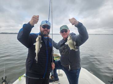 Grapevine Report Photo 1