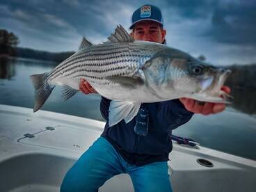 Cumming Report Photo 1