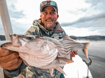 Cumming Report Photo 2