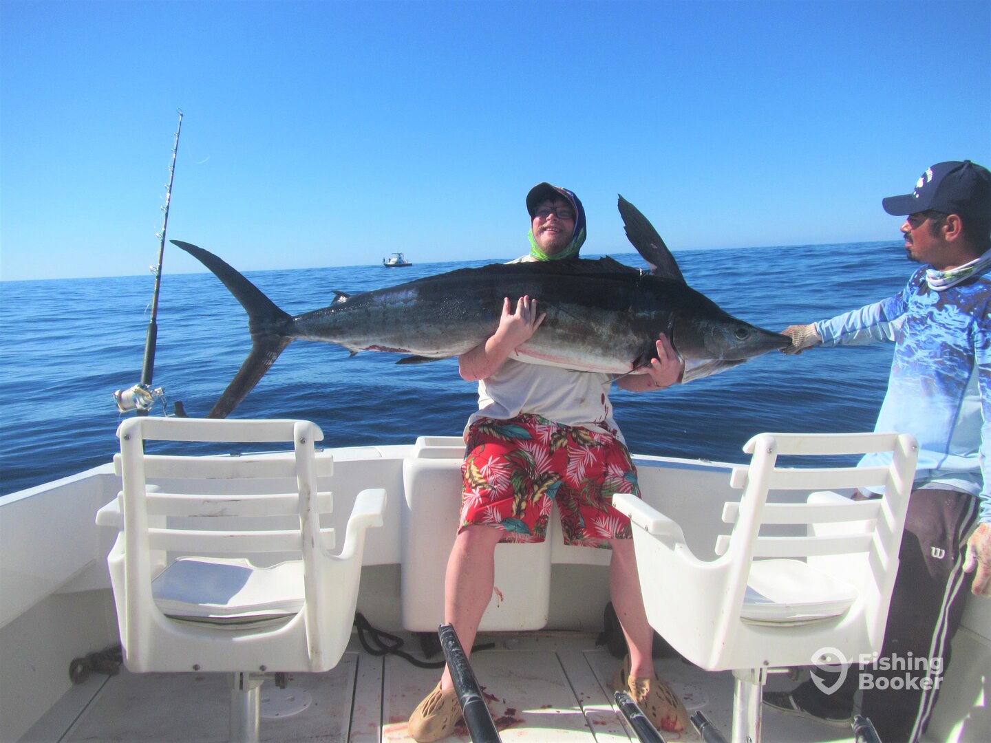 Cabo San Lucas Report Photo 0