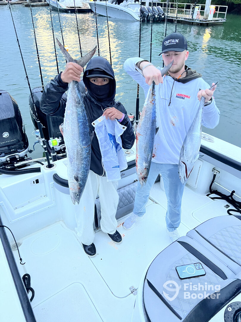 Miami Report Photo 0