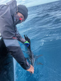 Miami Report Photo 2