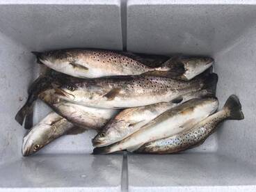 East Galveston Bay 1/15/2023