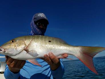 Key Biscayne Report Photo 1