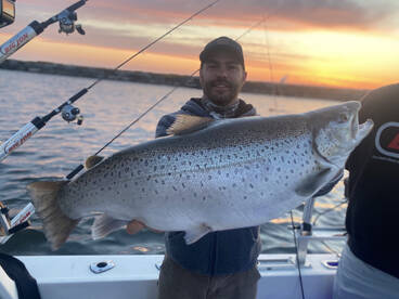 Spring Brown Trout on Lake Ontario
