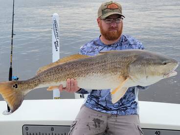 Redfish are on fire