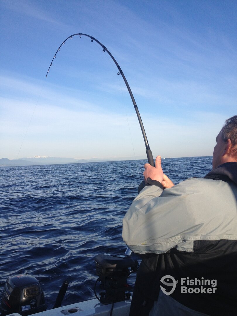 Nanaimo Report Photo 0