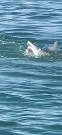 Fall fishing is in full swing now  