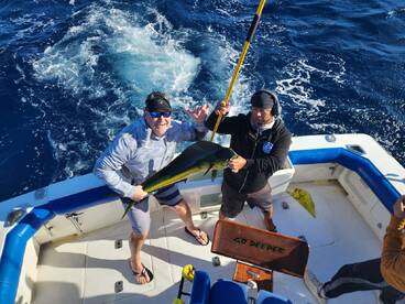 Cabo San Lucas Report Photo 1