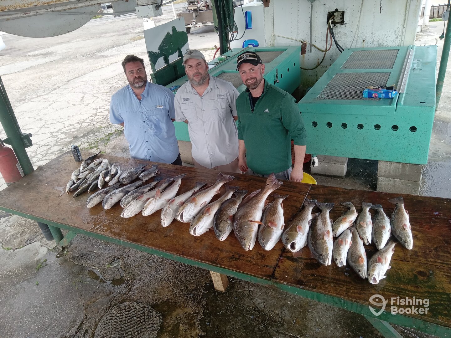 Lafitte Report Photo 0