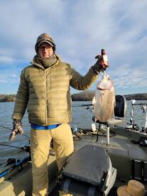 Harrison Report Photo 2