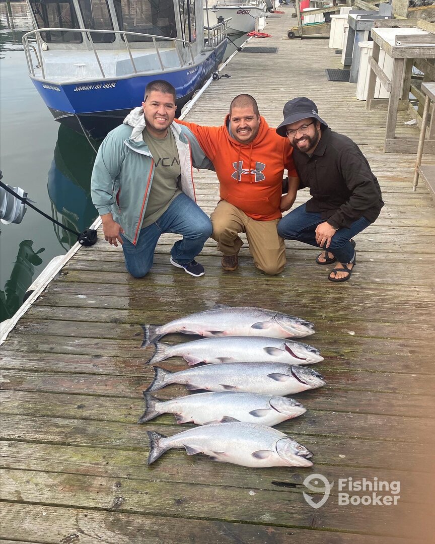 Bodega Bay Verslag Foto 0