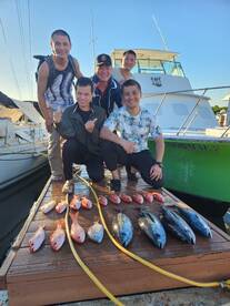 Dania Beach Report Photo 2