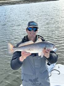 The redfish are schooling!