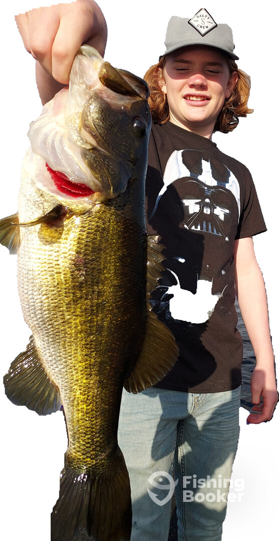 Ocoee Report Photo 0