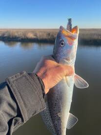 Bolivar Peninsula Report Photo 1