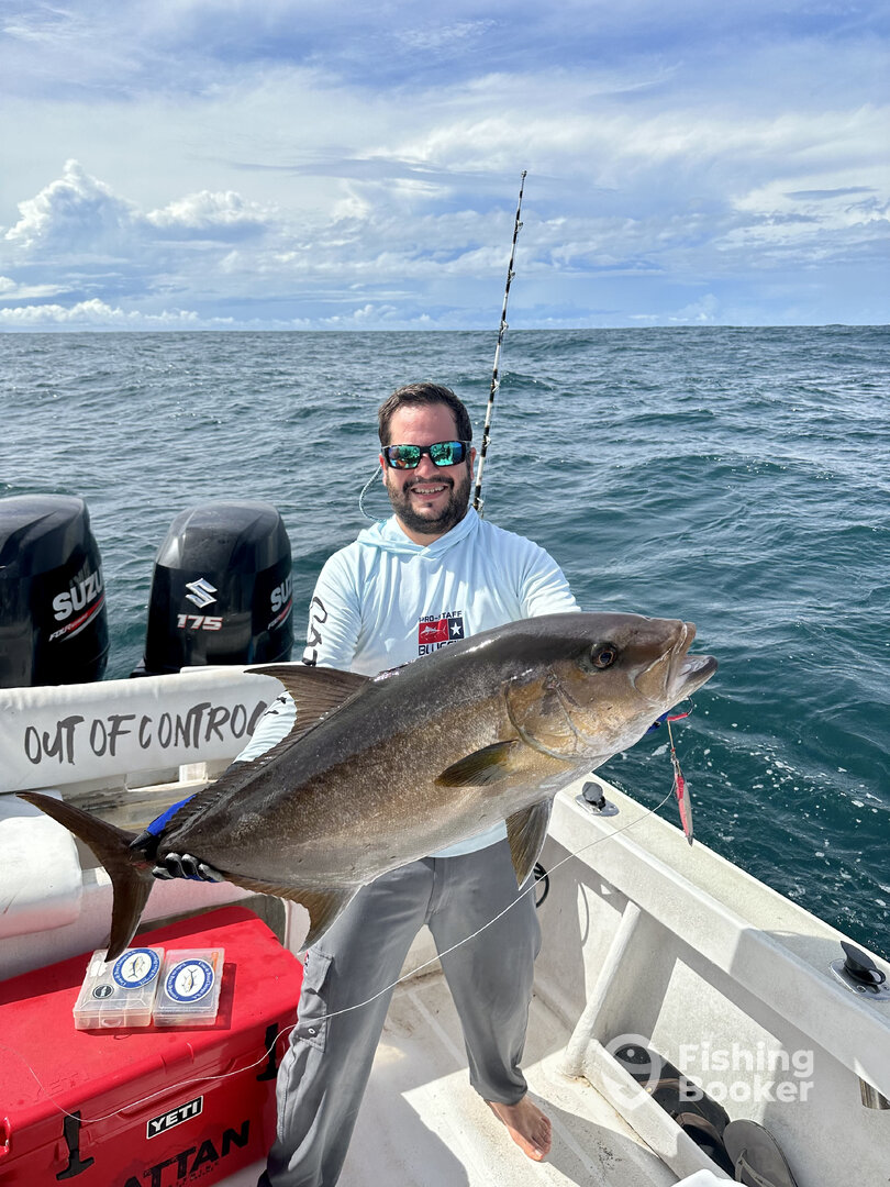 40 Pounds Amberjack