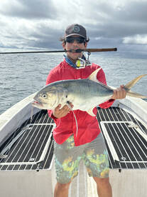 Jack Crevalle 