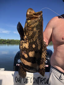 Chiriqui Report Photo 1