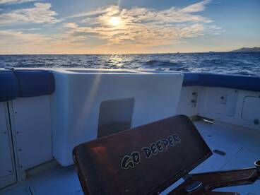 Cabo San Lucas Report Photo 1