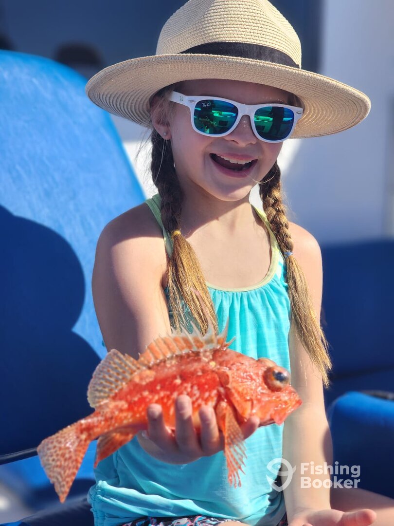 Cabo San Lucas Report Photo 0