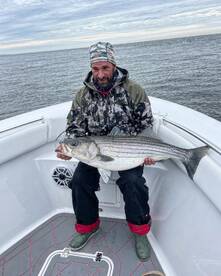 Solomons Report Photo 1