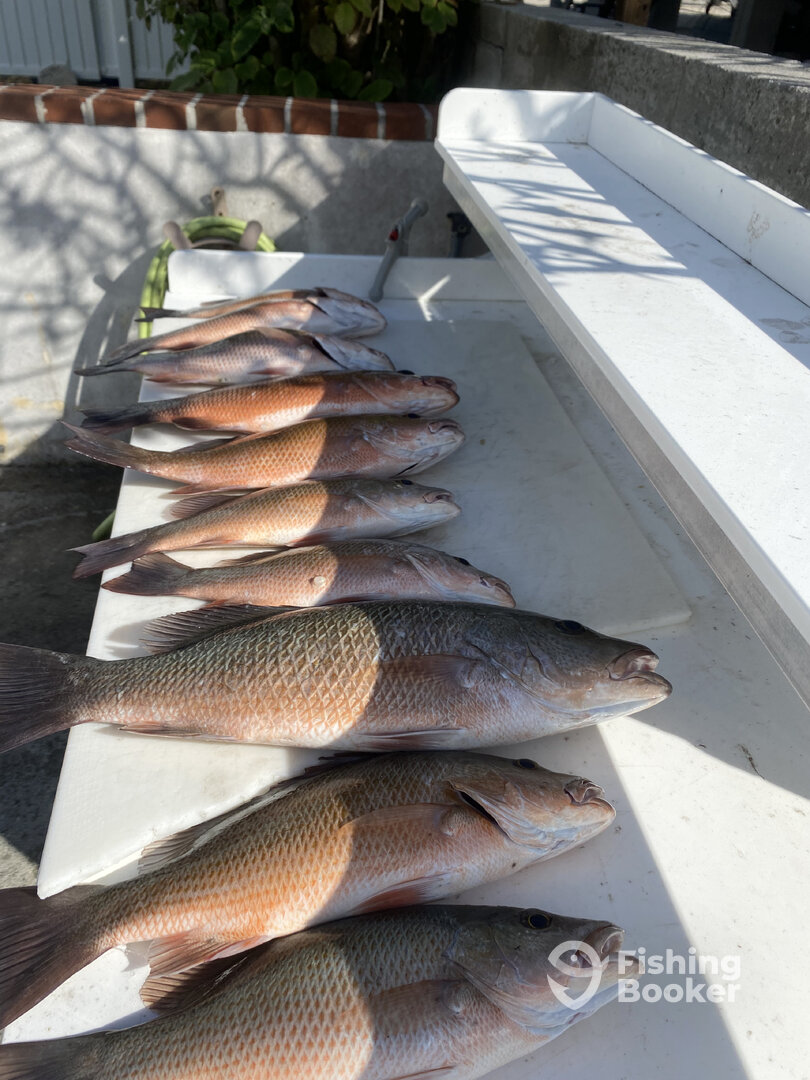 Key West Report Photo 0