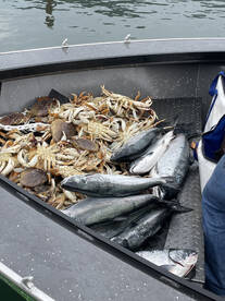 Garibaldi Report Photo 1