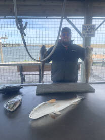 Palacios Report Photo 1