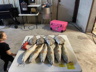 Palacios Report Photo 2