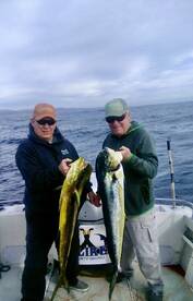Mahi mahi daliken sportfishing!