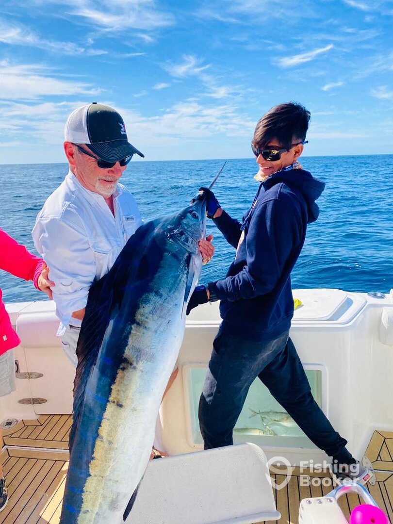 Cabo San Lucas Report Photo 0