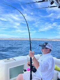 Cabo San Lucas Report Photo 1