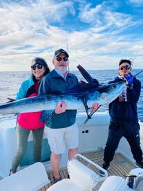 Cabo San Lucas Report Photo 2