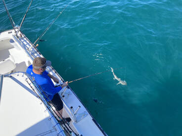 Season kicks off March 25 Taking booking